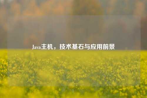 Java主机，技术基石与应用前景