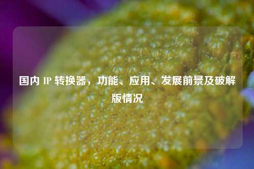 国内 IP 转换器，功能、应用、发展前景及破解版情况