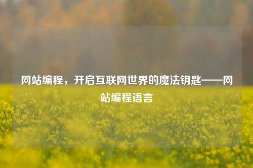 网站编程，开启互联网世界的魔法钥匙——网站编程语言