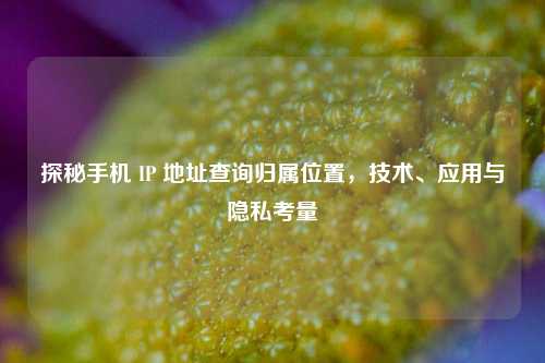 探秘手机 IP 地址查询归属位置，技术、应用与隐私考量