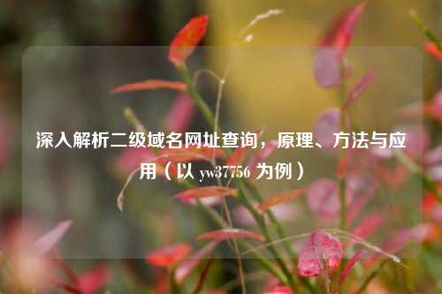 深入解析二级域名网址查询，原理、     与应用（以 yw37756 为例）