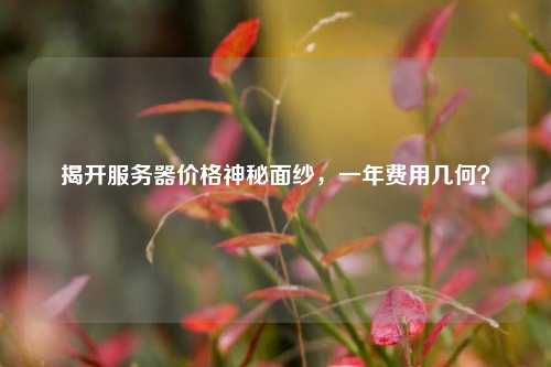 揭开服务器价格神秘面纱，一年费用几何？