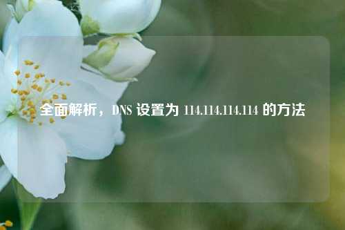 全面解析，DNS 设置为 114.114.114.114 的     