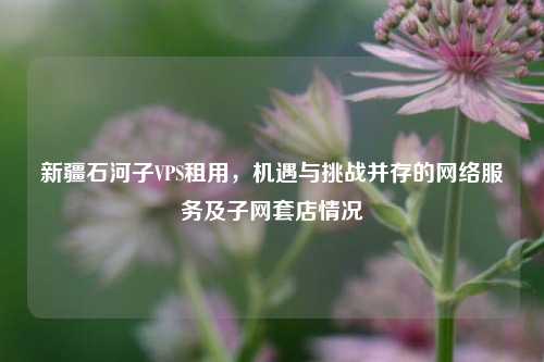 新疆石河子VPS租用，机遇与挑战并存的     服务及子网套店情况