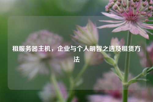 租服务器主机，企业与个人明智之选及租赁     