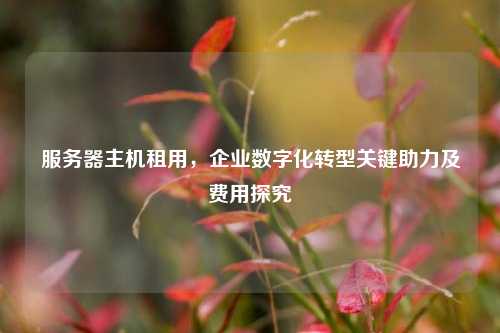服务器主机租用，企业数字化转型关键助力及费用探究
