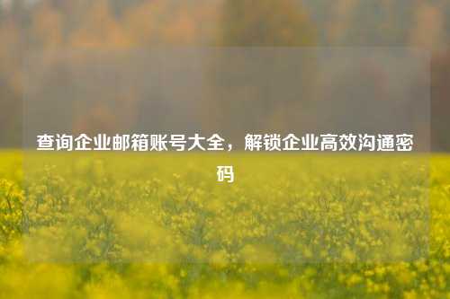 查询企业邮箱账号大全，解锁企业高效沟通密码