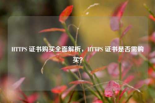 HTTPS 证书购买全面解析，HTTPS 证书是否需购买？